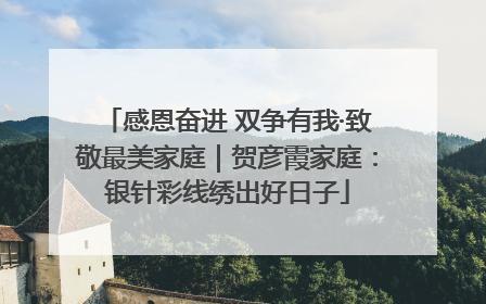 感恩奋进 双争有我·致敬最美家庭｜贺彦霞家庭：银针彩线绣出好日子