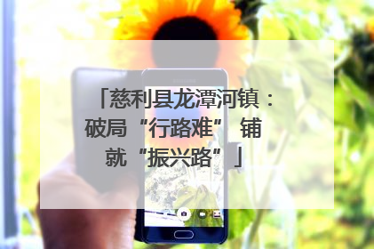 慈利县龙潭河镇：破局“行路难” 铺就“振兴路”