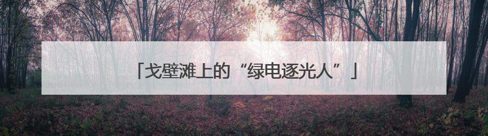 戈壁滩上的“绿电逐光人”
