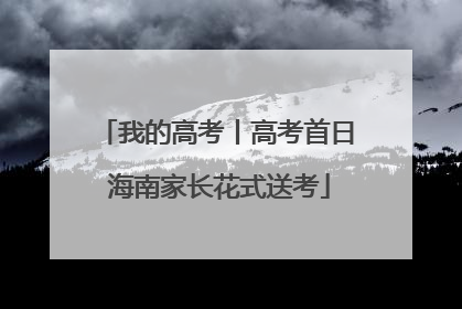 我的高考丨高考首日 海南家长花式送考
