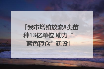 我市增殖放流8类苗种13亿单位 助力“蓝色粮仓”建设
