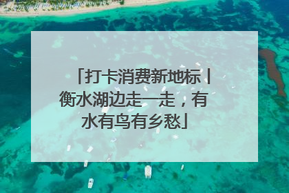 打卡消费新地标丨衡水湖边走一走，有水有鸟有乡愁