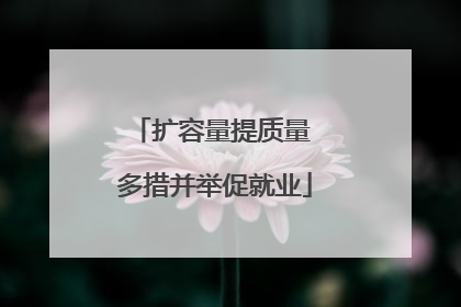 扩容量提质量 多措并举促就业