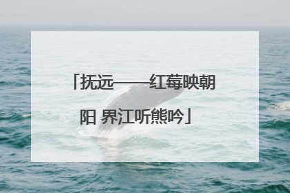 抚远——红莓映朝阳 界江听熊吟