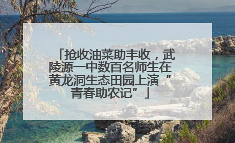 抢收油菜助丰收，武陵源一中数百名师生在黄龙洞生态田园上演“青春助农记”