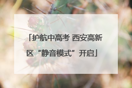 护航中高考 西安高新区“静音模式”开启