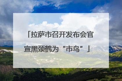 拉萨市召开发布会官宣黑颈鹤为“市鸟”