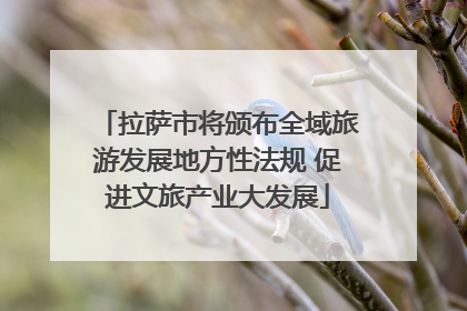 拉萨市将颁布全域旅游发展地方性法规 促进文旅产业大发展