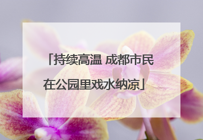 持续高温 成都市民在公园里戏水纳凉