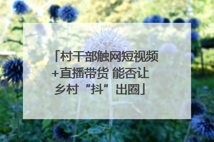 村干部触网短视频+直播带货 能否让乡村“抖”出圈