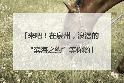 来吧！在泉州，浪漫的“滨海之约”等你哟