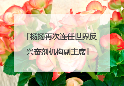 杨扬再次连任世界反兴奋剂机构副主席