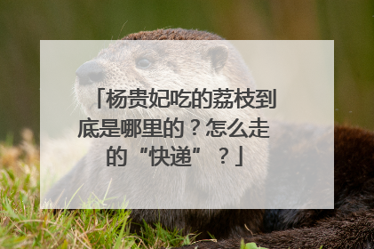 杨贵妃吃的荔枝到底是哪里的？怎么走的“快递”？
