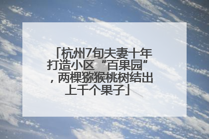 杭州7旬夫妻十年打造小区“百果园”，两棵猕猴桃树结出上千个果子