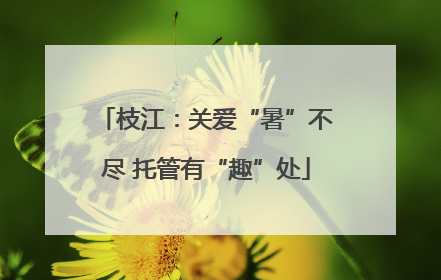 枝江：关爱“暑”不尽 托管有“趣”处