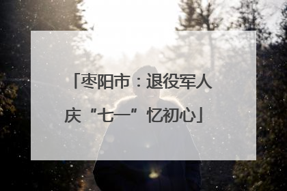 枣阳市：退役军人庆“七一”忆初心