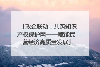 政企联动，共筑知识产权保护网——赋能民营经济高质量发展