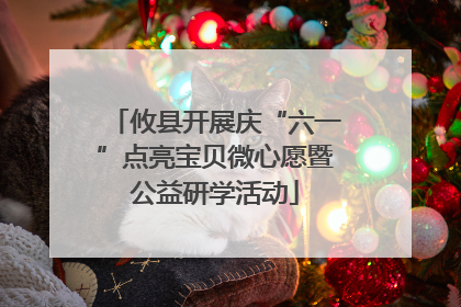 攸县开展庆“六一”点亮宝贝微心愿暨公益研学活动