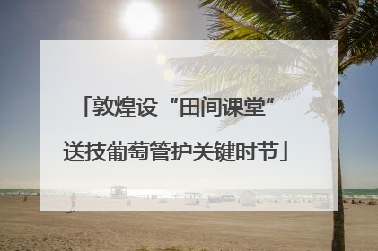 敦煌设“田间课堂” 送技葡萄管护关键时节