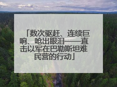 数次驱赶、连续巨响、呛出眼泪——直击以军在巴勒斯坦难民营的行动