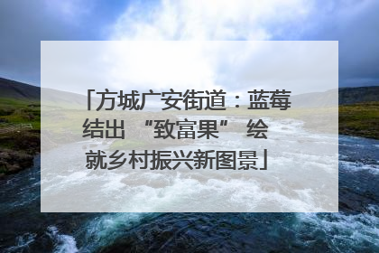 方城广安街道：蓝莓结出 “致富果” 绘就乡村振兴新图景