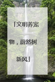 文明养宠物，蔚然树新风