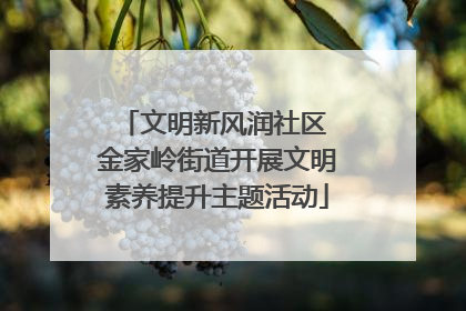 文明新风润社区 金家岭街道开展文明素养提升主题活动