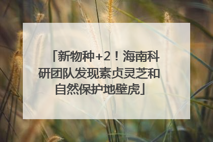 新物种+2！海南科研团队发现素贞灵芝和自然保护地壁虎
