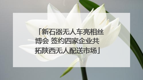 新石器无人车亮相丝博会 签约四家企业共拓陕西无人配送市场