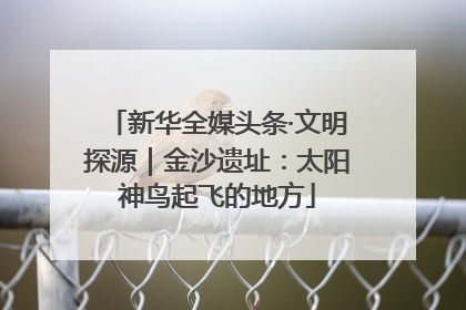 新华全媒头条·文明探源｜金沙遗址：太阳神鸟起飞的地方