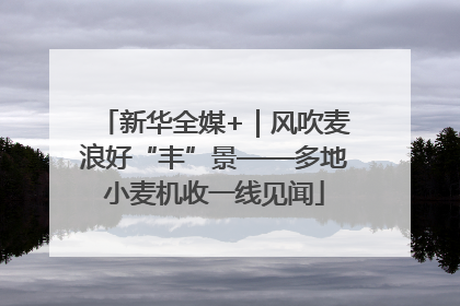 新华全媒+｜风吹麦浪好“丰”景——多地小麦机收一线见闻