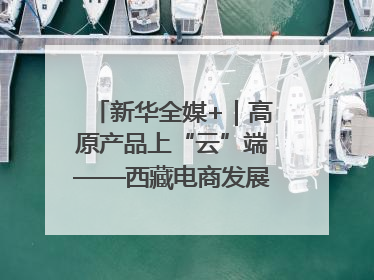 新华全媒+｜高原产品上“云”端——西藏电商发展一线观察
