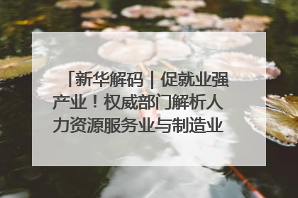 新华解码｜促就业强产业！权威部门解析人力资源服务业与制造业融合发展试点