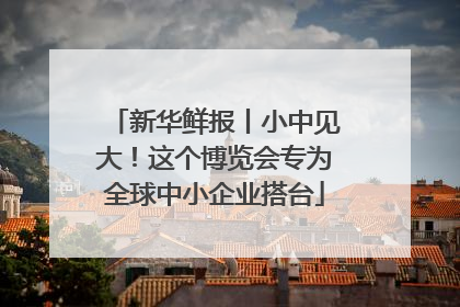 新华鲜报丨小中见大！这个博览会专为全球中小企业搭台