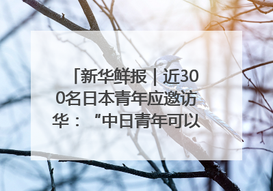 新华鲜报｜近300名日本青年应邀访华：“中日青年可以创造更好的未来”
