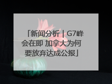新闻分析｜G7峰会在即 加拿大为何要放弃达成公报