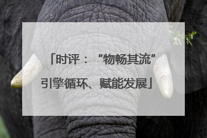 时评：“物畅其流”引擎循环、赋能发展