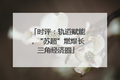 时评：轨道赋能，“苏超”燃爆长三角经济圈