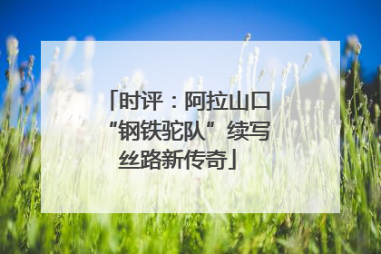 时评：阿拉山口“钢铁驼队”续写丝路新传奇