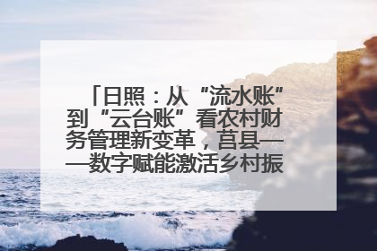 日照：从“流水账”到“云台账”看农村财务管理新变革，莒县——数字赋能激活乡村振兴“一池春水”