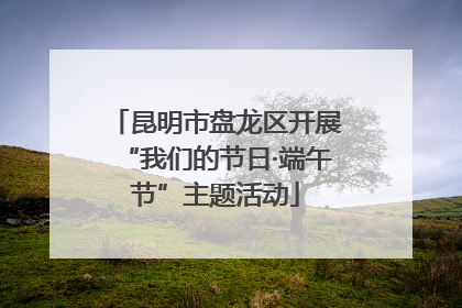 昆明市盘龙区开展“我们的节日·端午节”主题活动