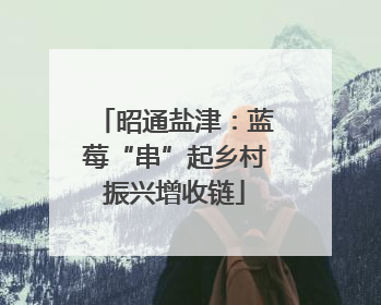 昭通盐津：蓝莓“串”起乡村振兴增收链