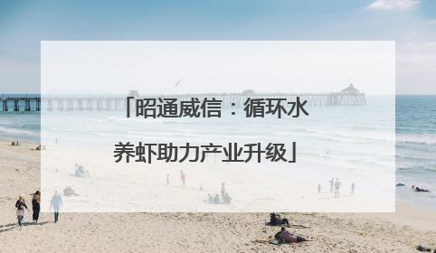 昭通威信：循环水养虾助力产业升级