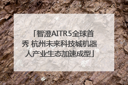 智澄AITR5全球首秀 杭州未来科技城机器人产业生态加速成型