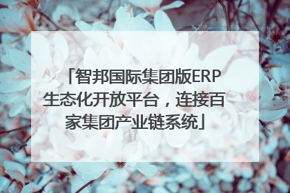 智邦国际集团版ERP生态化开放平台，连接百家集团产业链系统