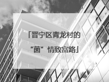 晋宁区青龙村的“菌”情致富路