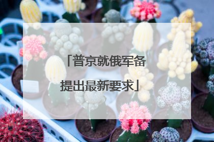 普京就俄军备提出最新要求