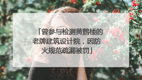 曾参与检测黄鹤楼的老牌建筑设计院，因防火规范疏漏被罚