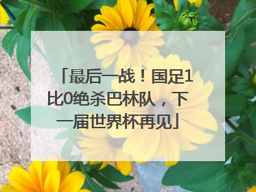 最后一战！国足1比0绝杀巴林队，下一届世界杯再见