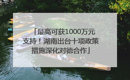 最高可获1000万元支持！湖南出台十项政策措施深化对德合作